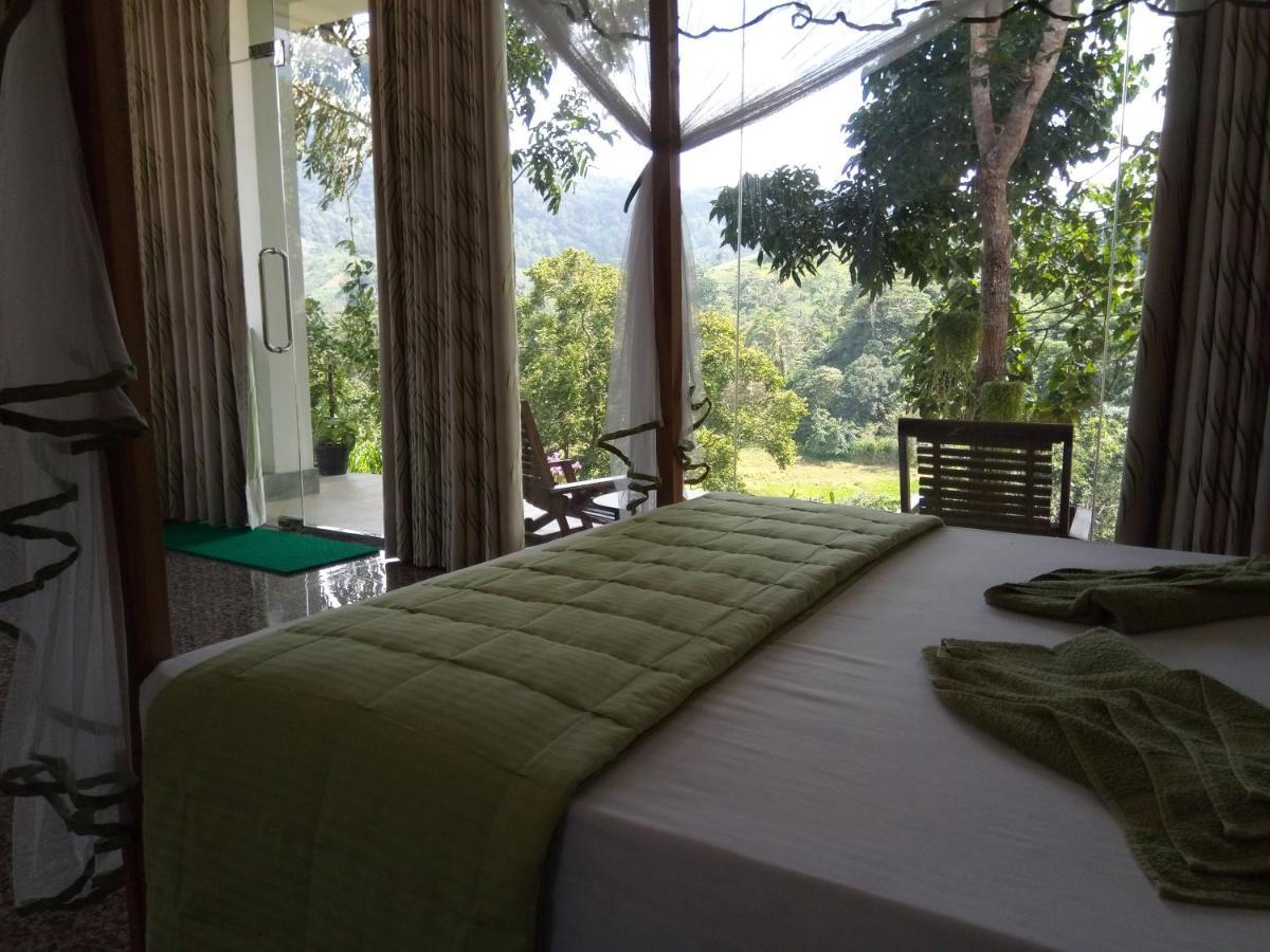 דניאיאה Evergreen Villa - Sinharaja מראה חיצוני תמונה